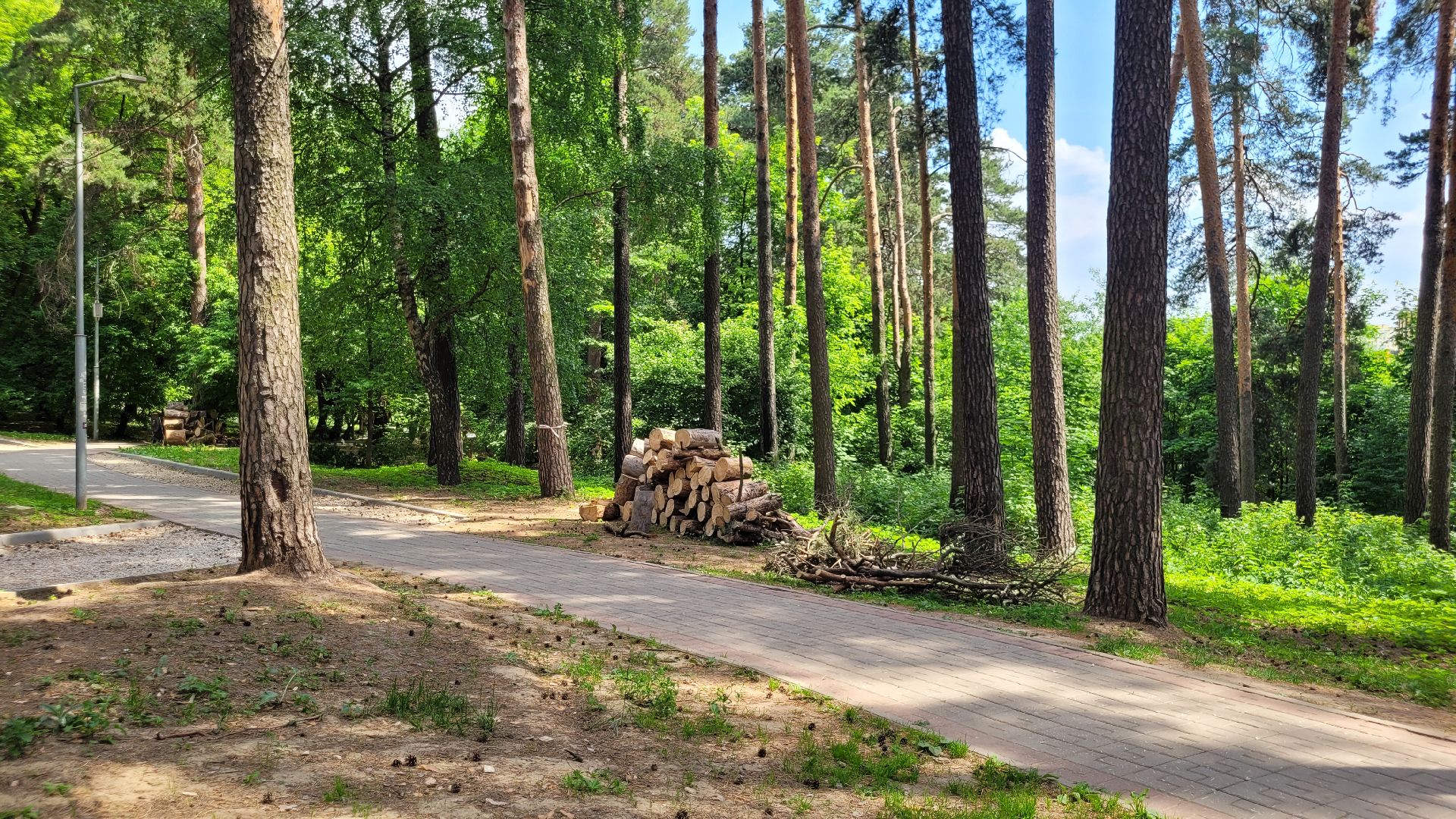 творчество; художники; видное; пленэр; природа