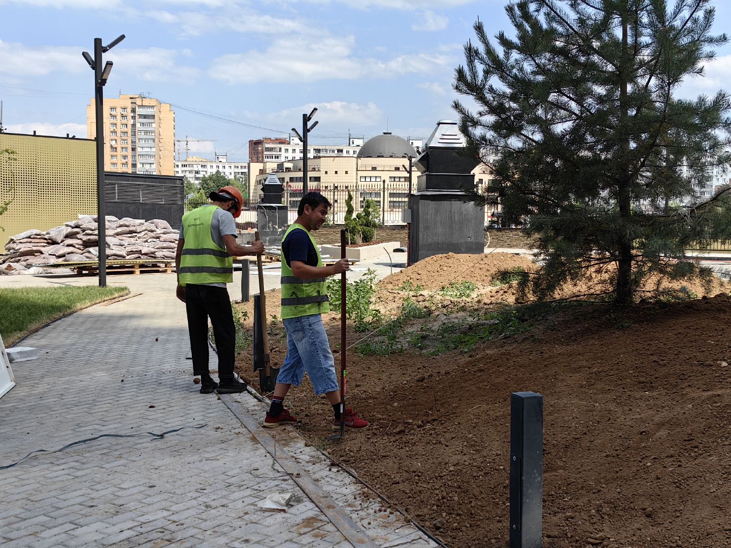 Деревья, цветы, озеленение, кустарники, территория, хвойные