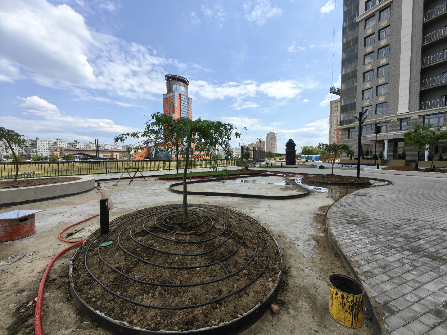 Деревья, цветы, озеленение, кустарники, территория, хвойные