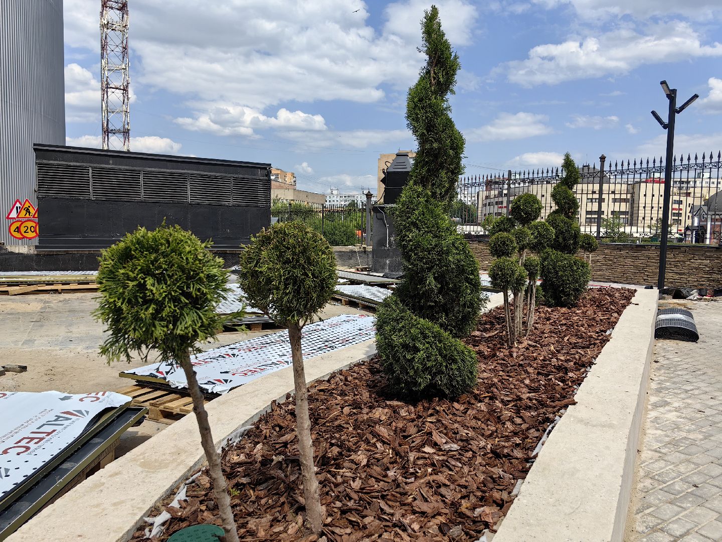 Деревья, цветы, озеленение, кустарники, территория, хвойные