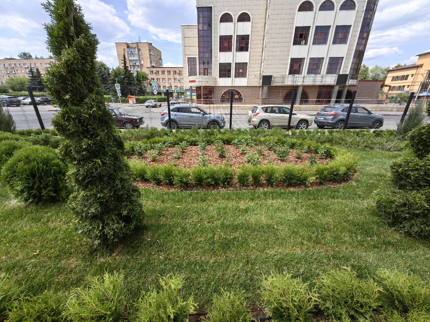 Деревья, цветы, озеленение, кустарники, территория, хвойные