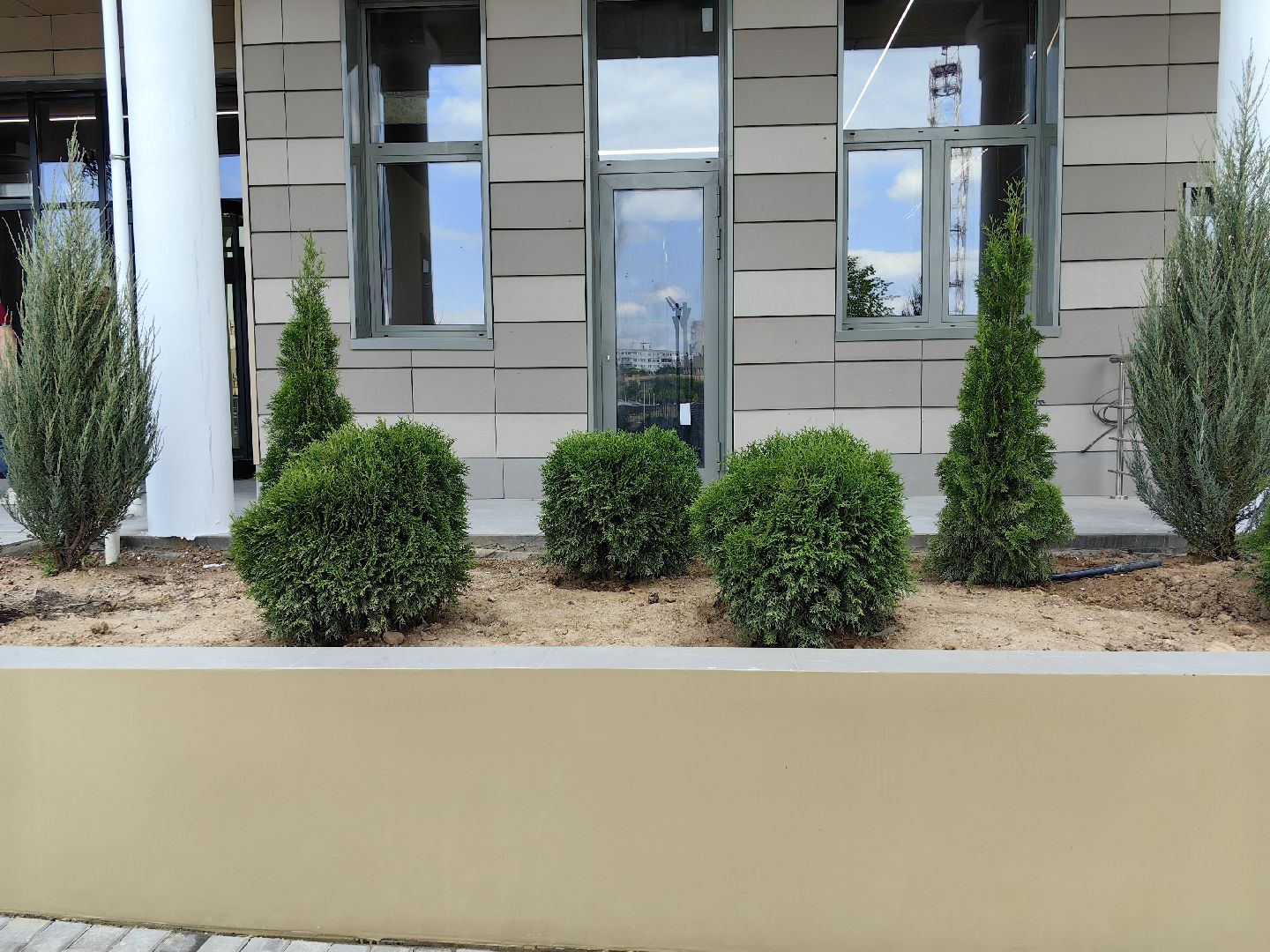 Деревья, цветы, озеленение, кустарники, территория, хвойные