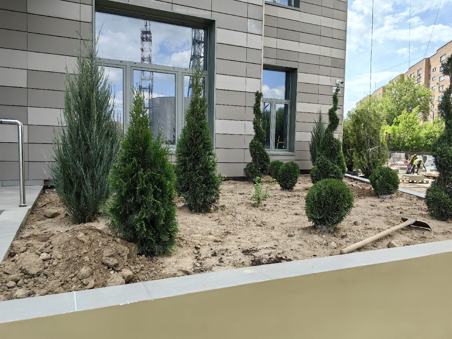 Деревья, цветы, озеленение, кустарники, территория, хвойные