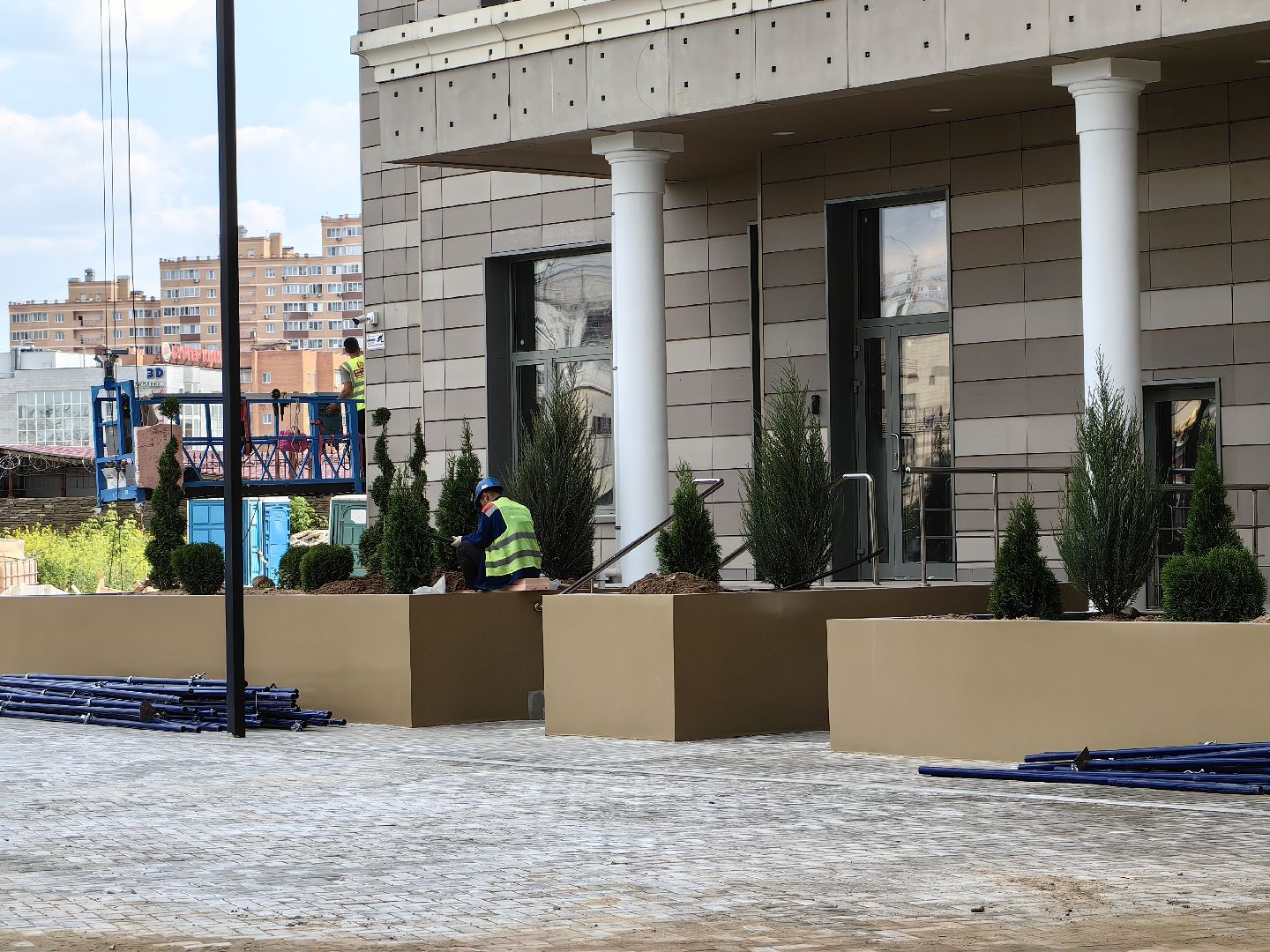 Деревья, цветы, озеленение, кустарники, территория, хвойные