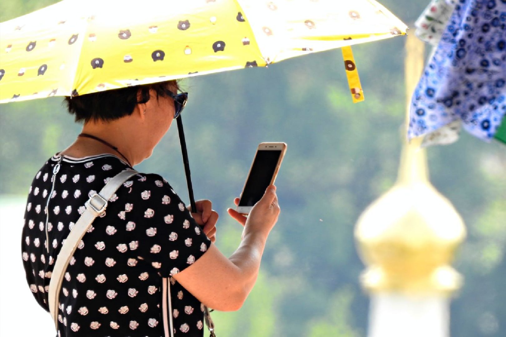 Сергиев Посад, Сергиево-Посадский городской округ, Жара, Лето, Лето в Подмосковье, Парки, Выходные, Культура, Дети