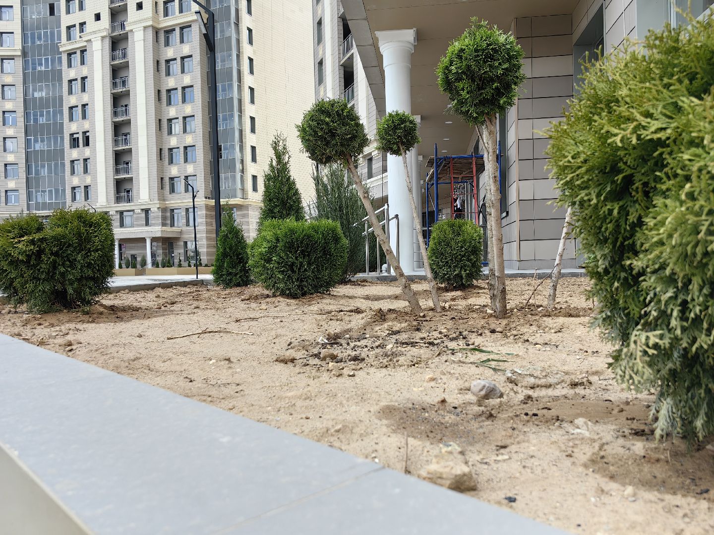 Долгострой, площадка, озеленение, жители, парковка