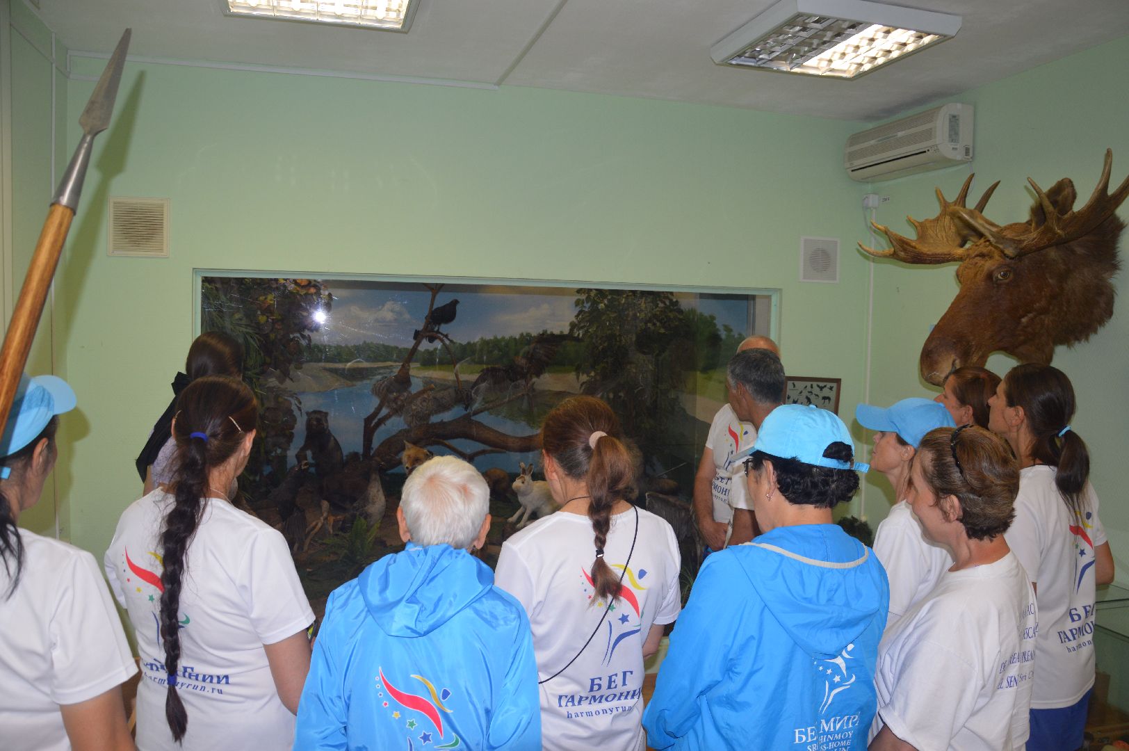 Шатура, музей, краеведческий музей, спорт, экскурсия, бег, гармония