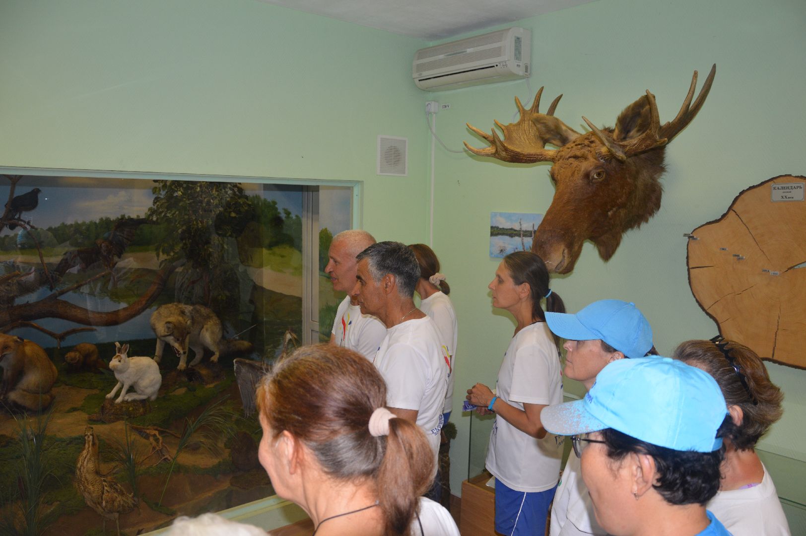 Шатура, музей, краеведческий музей, спорт, экскурсия, бег, гармония