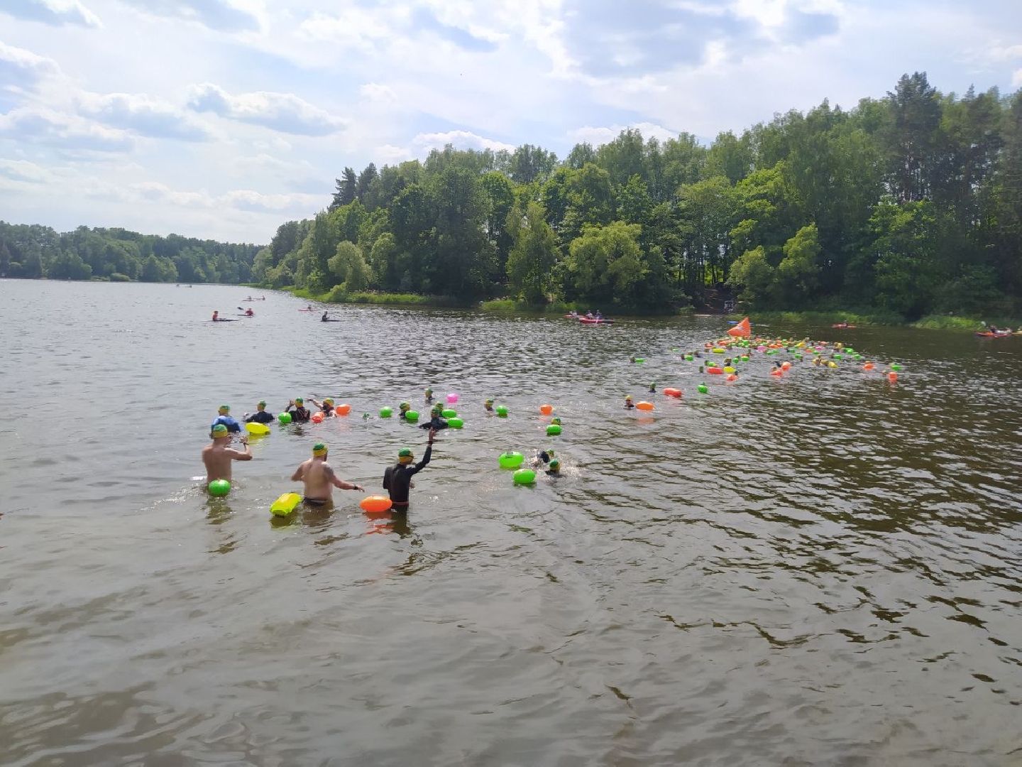 Истра, плавание, спорт, чемпионат, соревнование