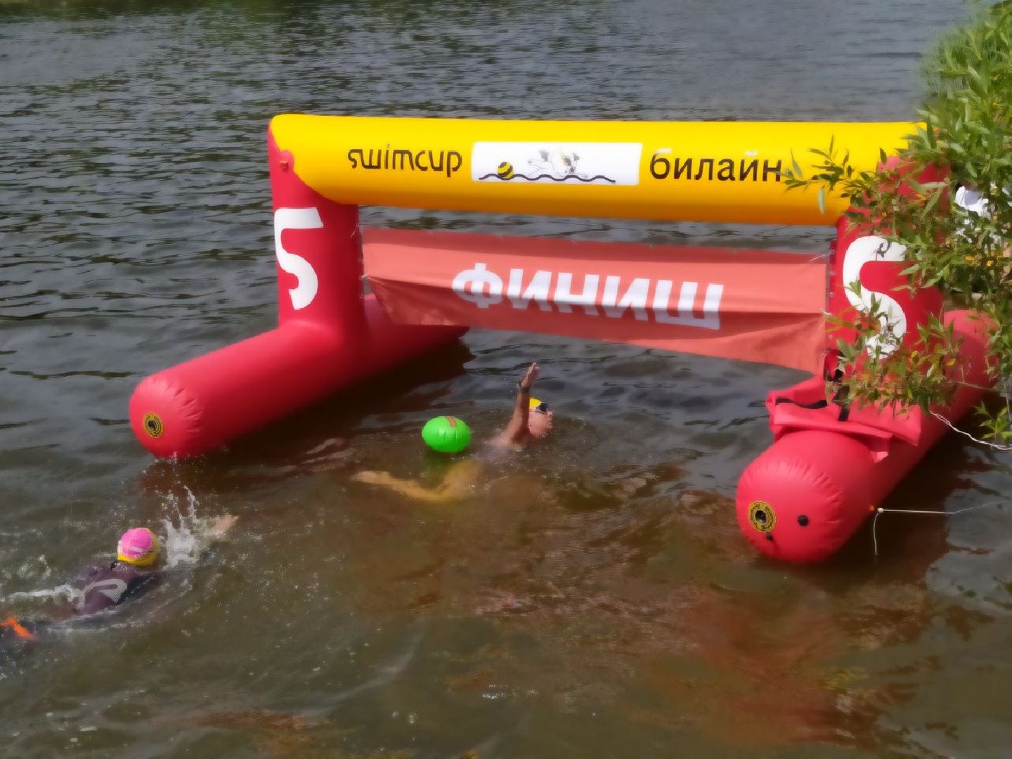 Истра, плавание, спорт, чемпионат, соревнование