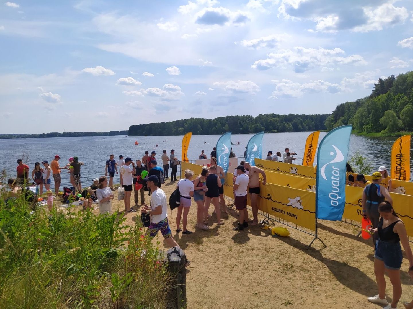 Истра, плавание, спорт, чемпионат, соревнование