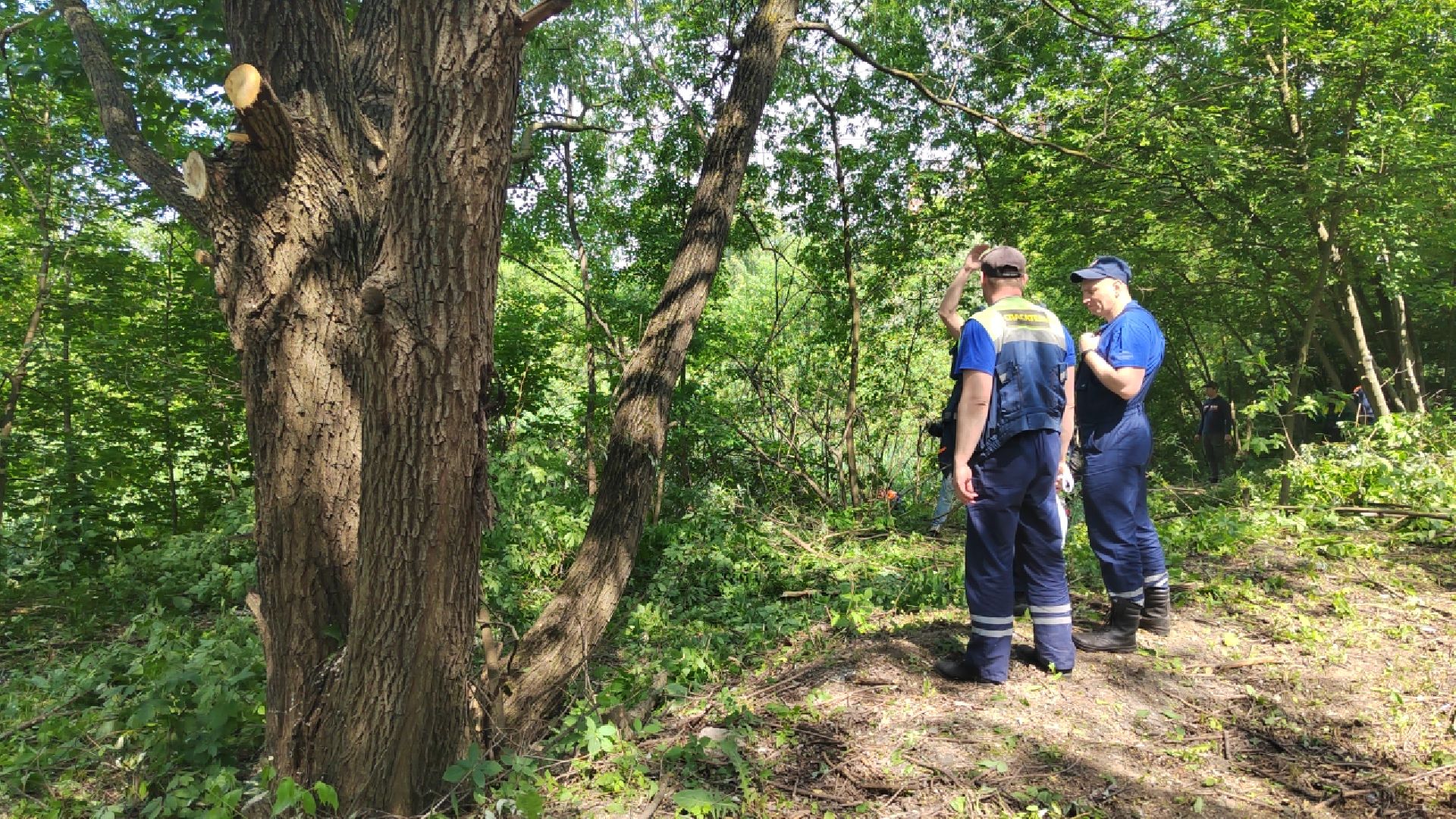 Пушкино, МЧС, экология, Вода России