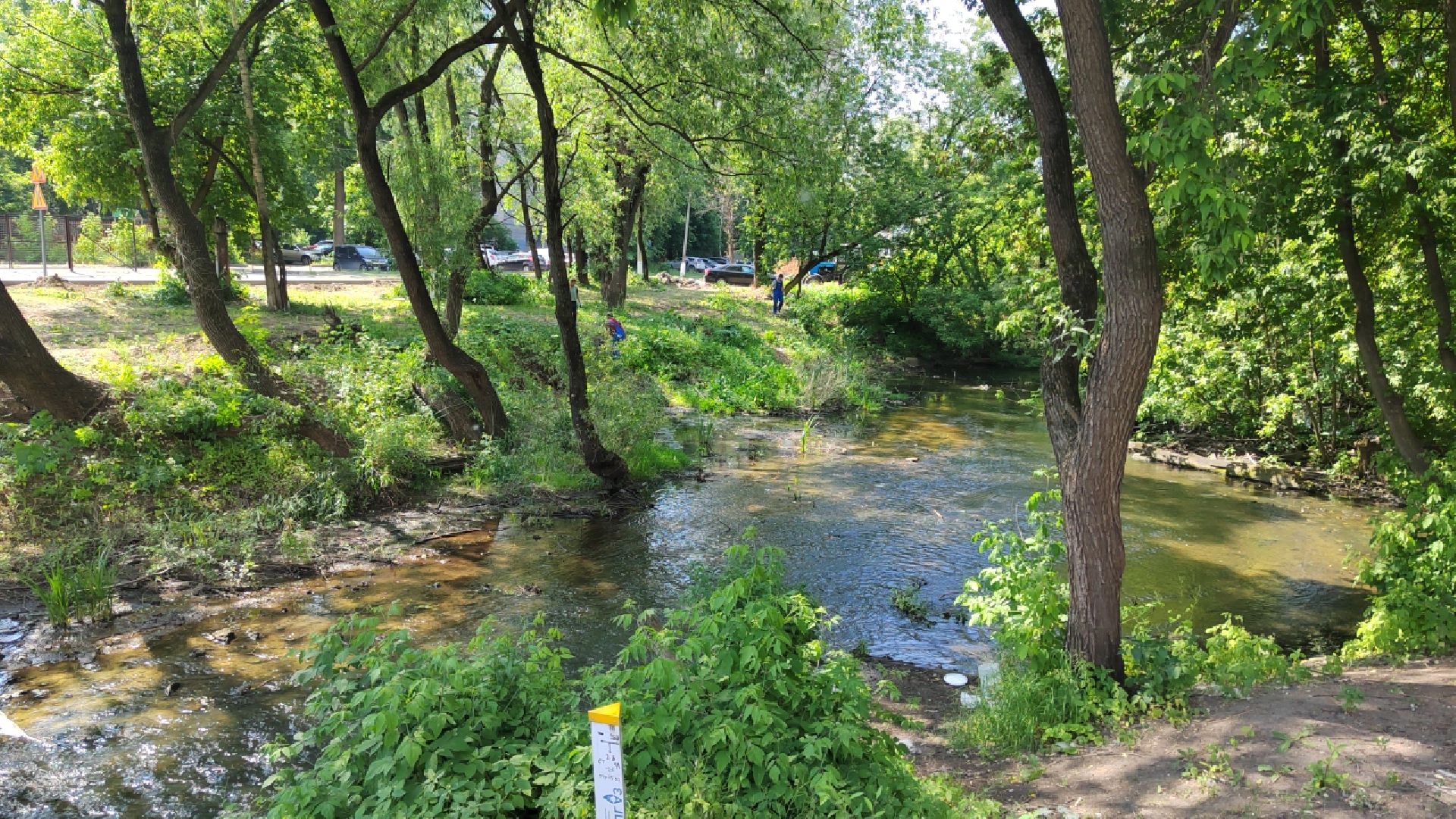 Пушкино, МЧС, экология, Вода России