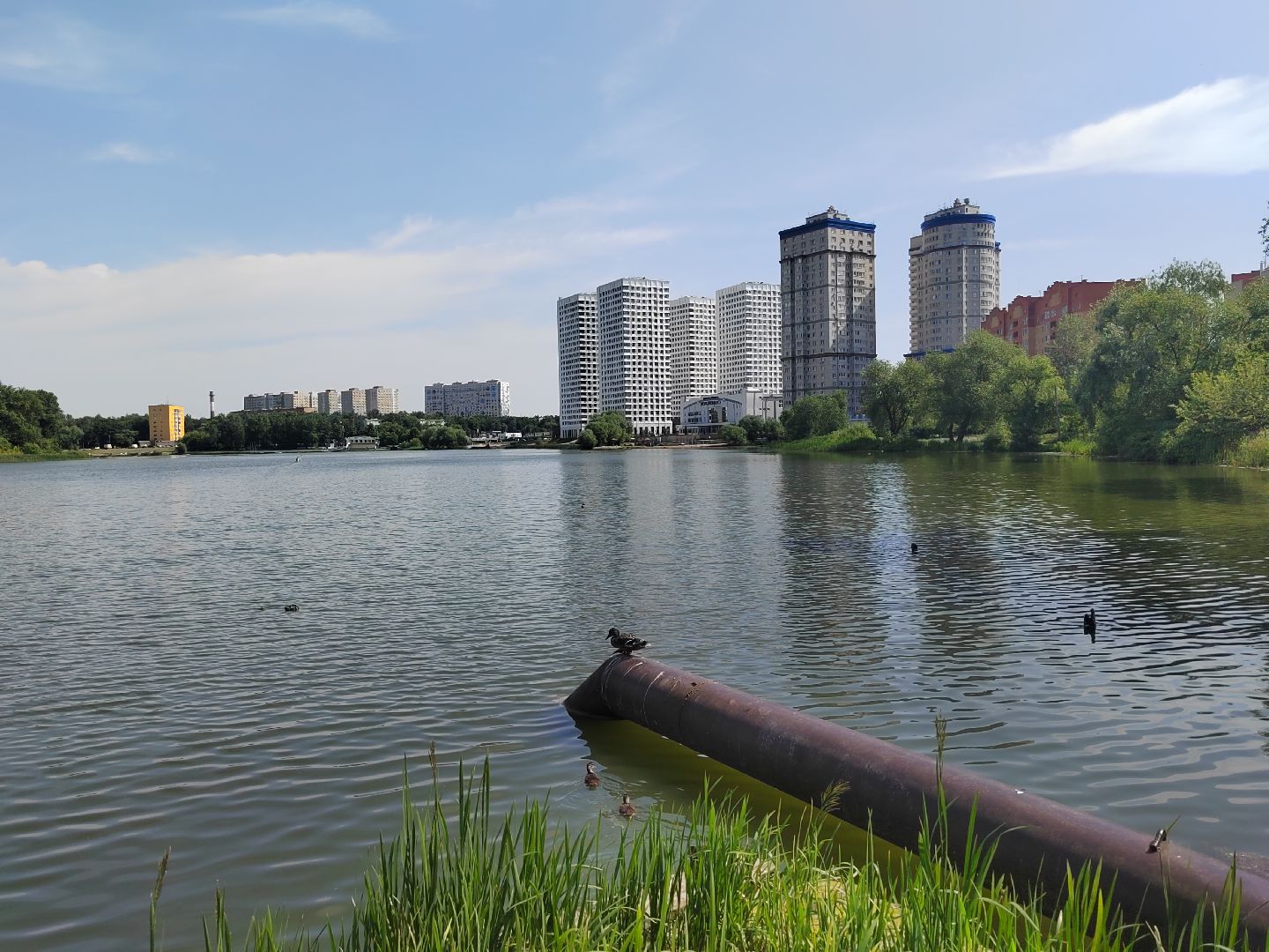 Пушкино, МЧС, экология, Вода России