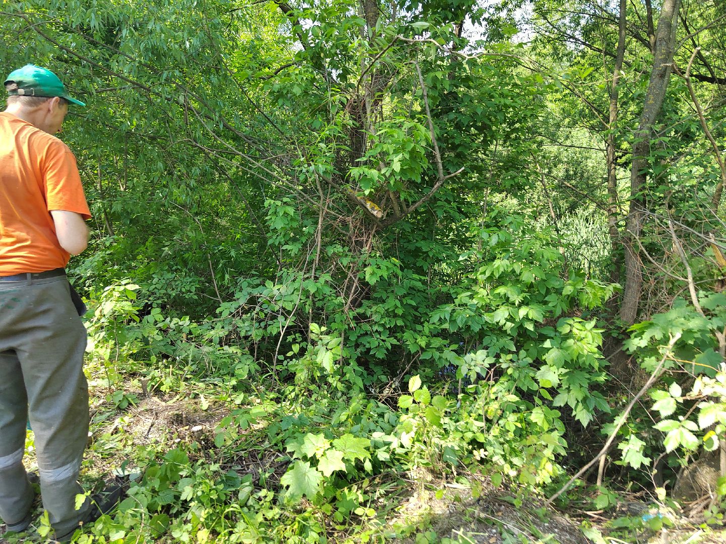 Пушкино, экология, молодежь, молодая гвардия, вода России, волонтеры