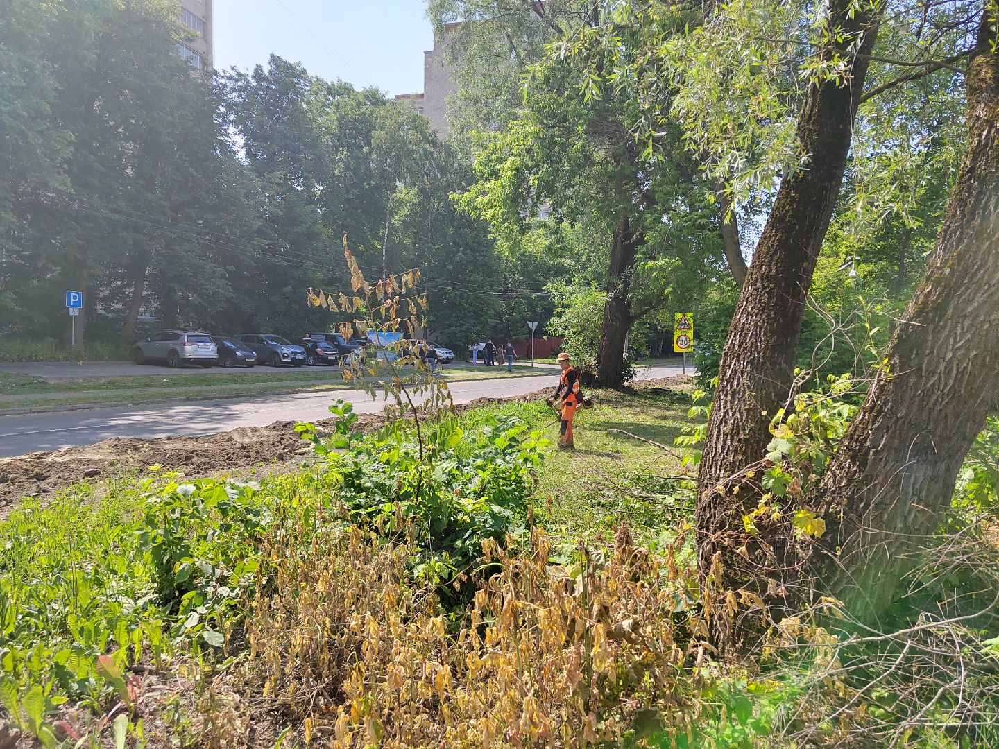 Пушкино, экология, молодежь, молодая гвардия, вода России, волонтеры