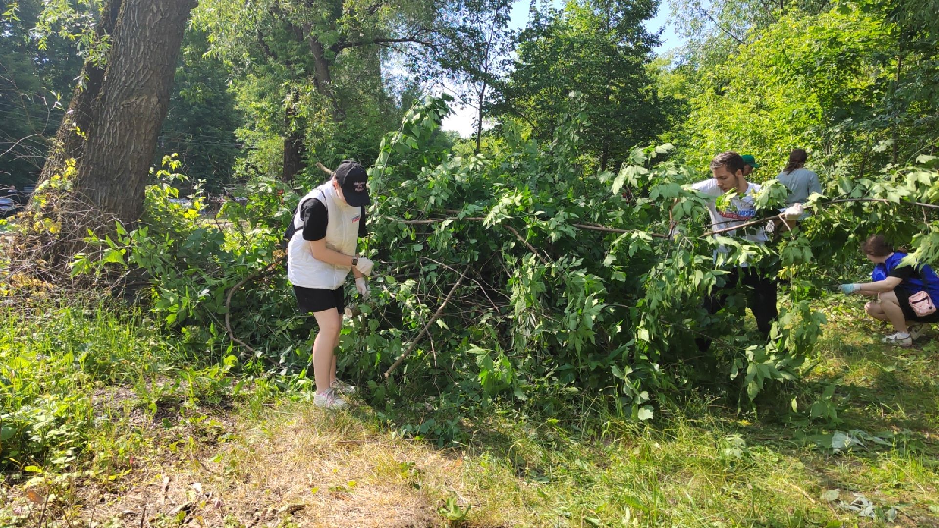 Пушкино, экология, молодежь, молодая гвардия, вода России, волонтеры