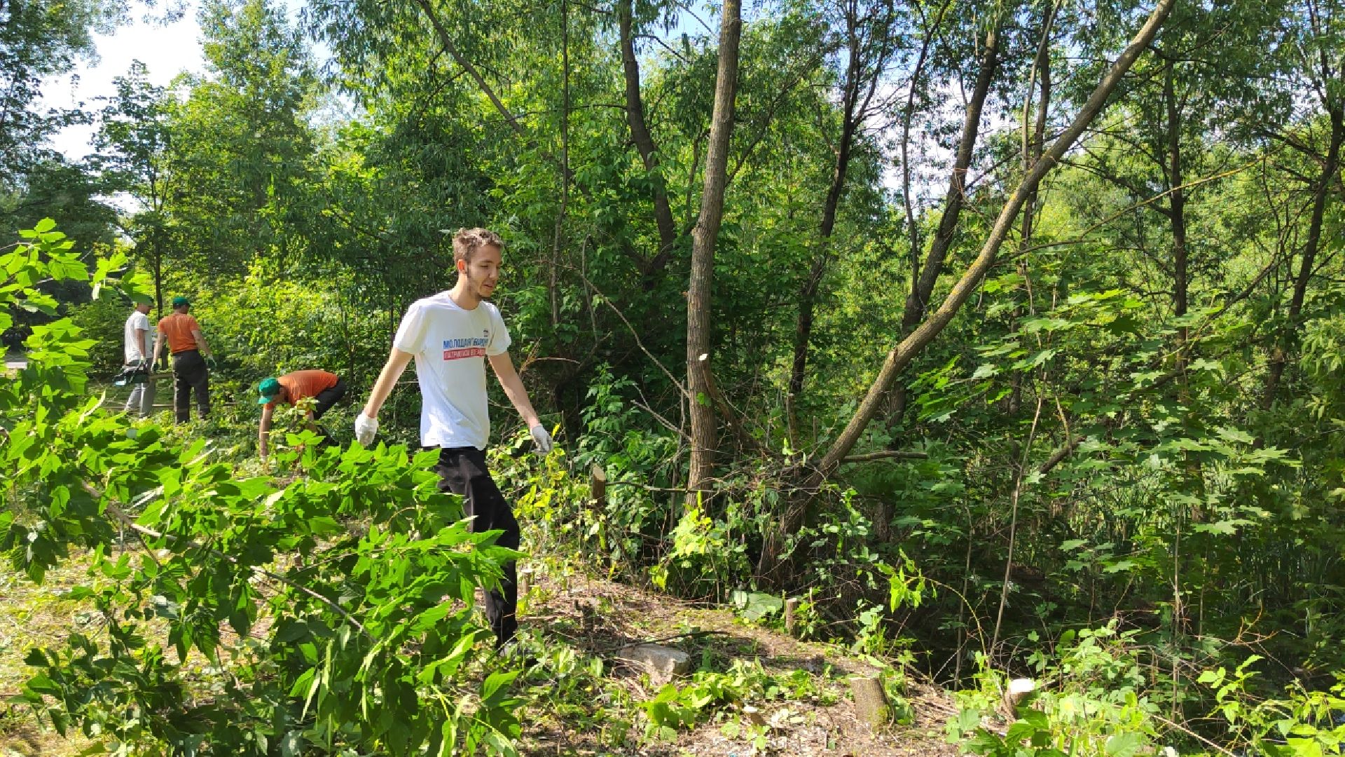 Пушкино, экология, молодежь, молодая гвардия, вода России, волонтеры