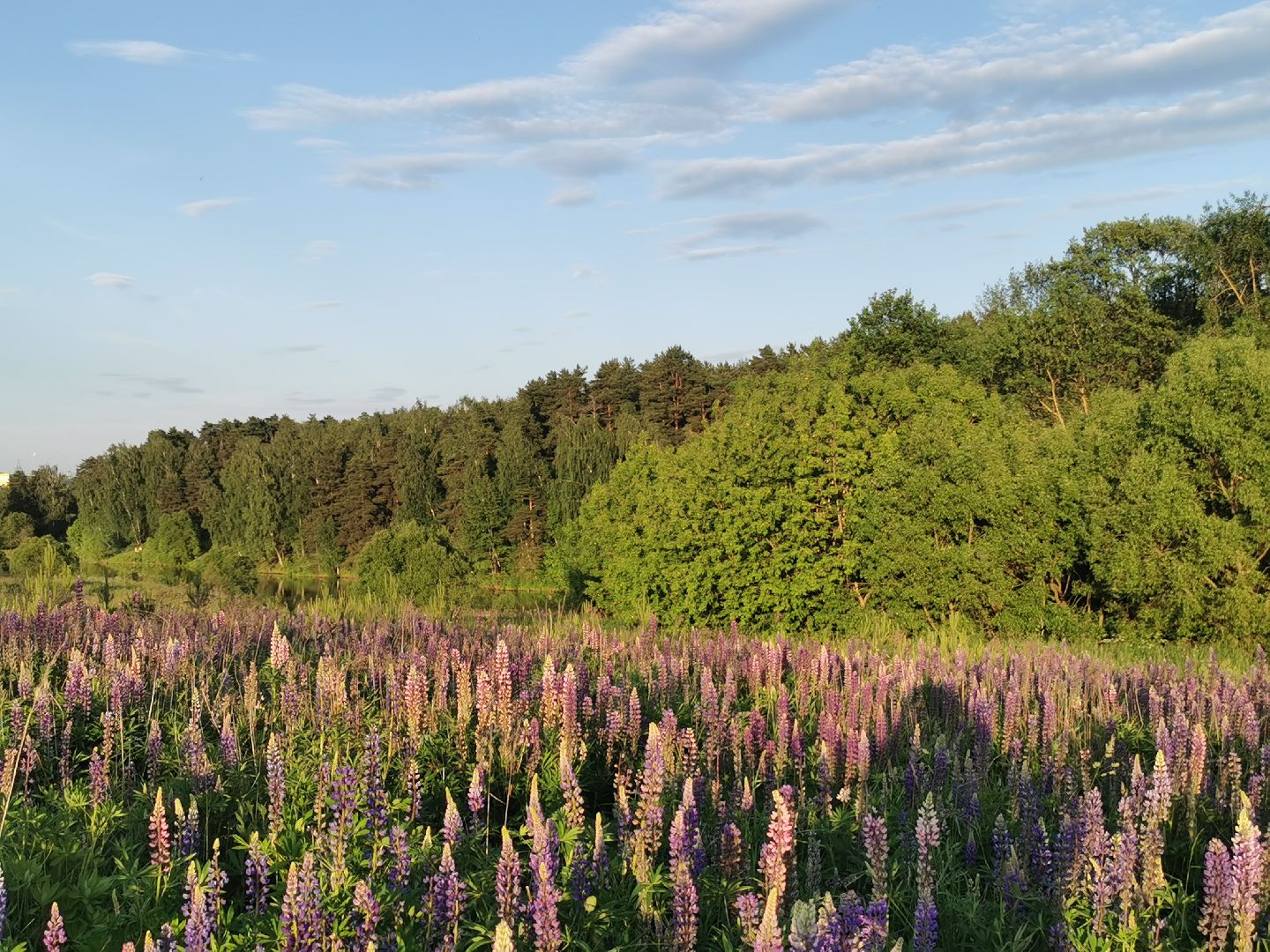 Подольск, туризм