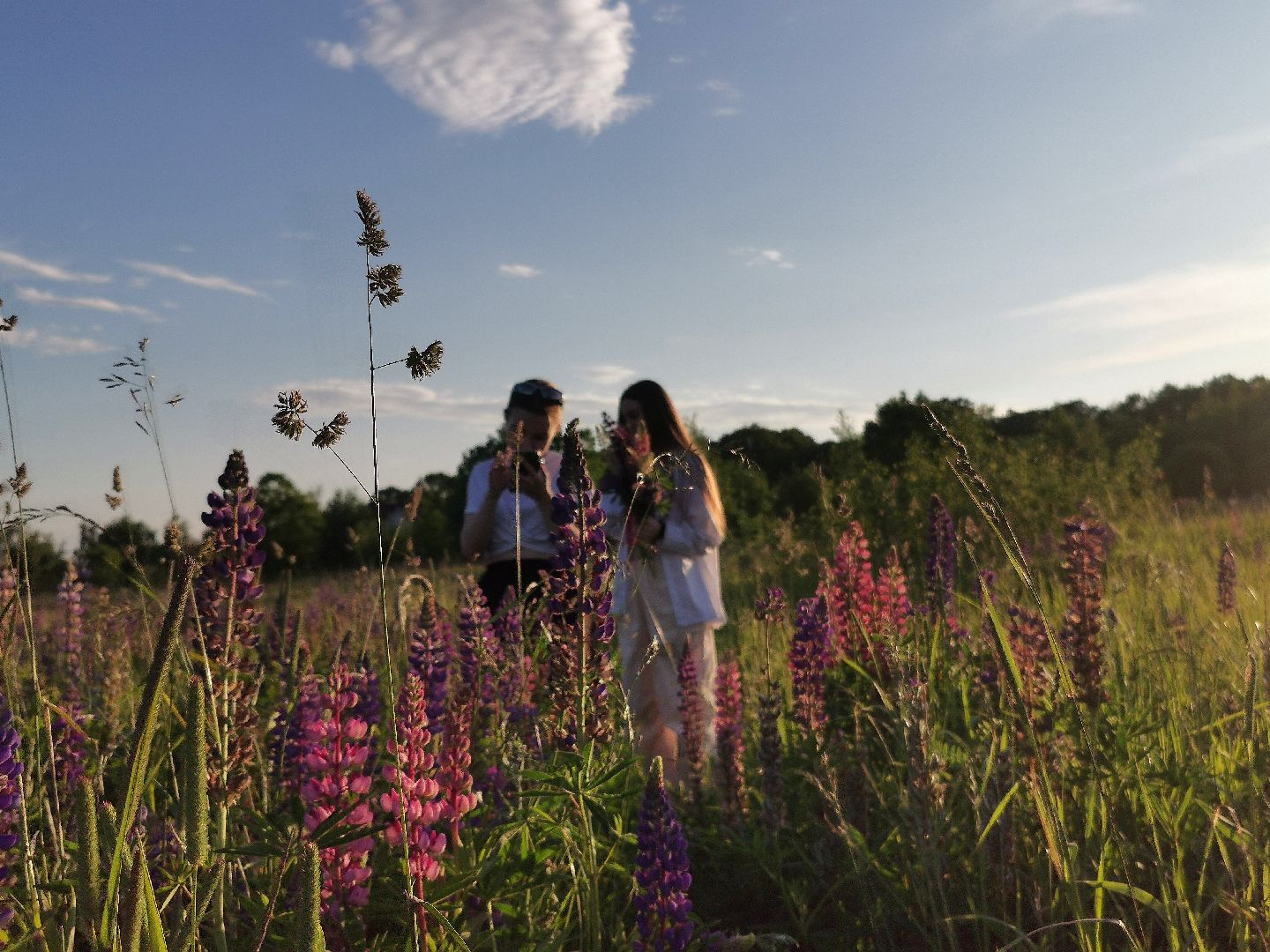 Подольск, туризм