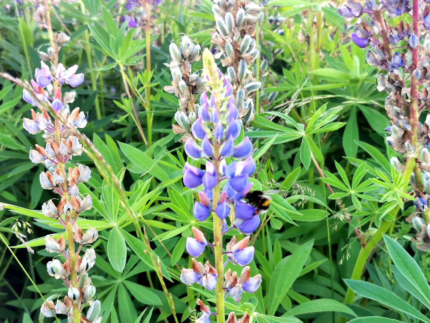 Подольск, туризм