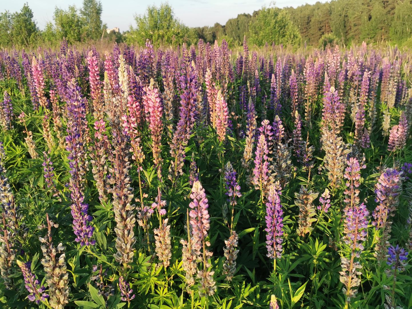 Подольск, туризм