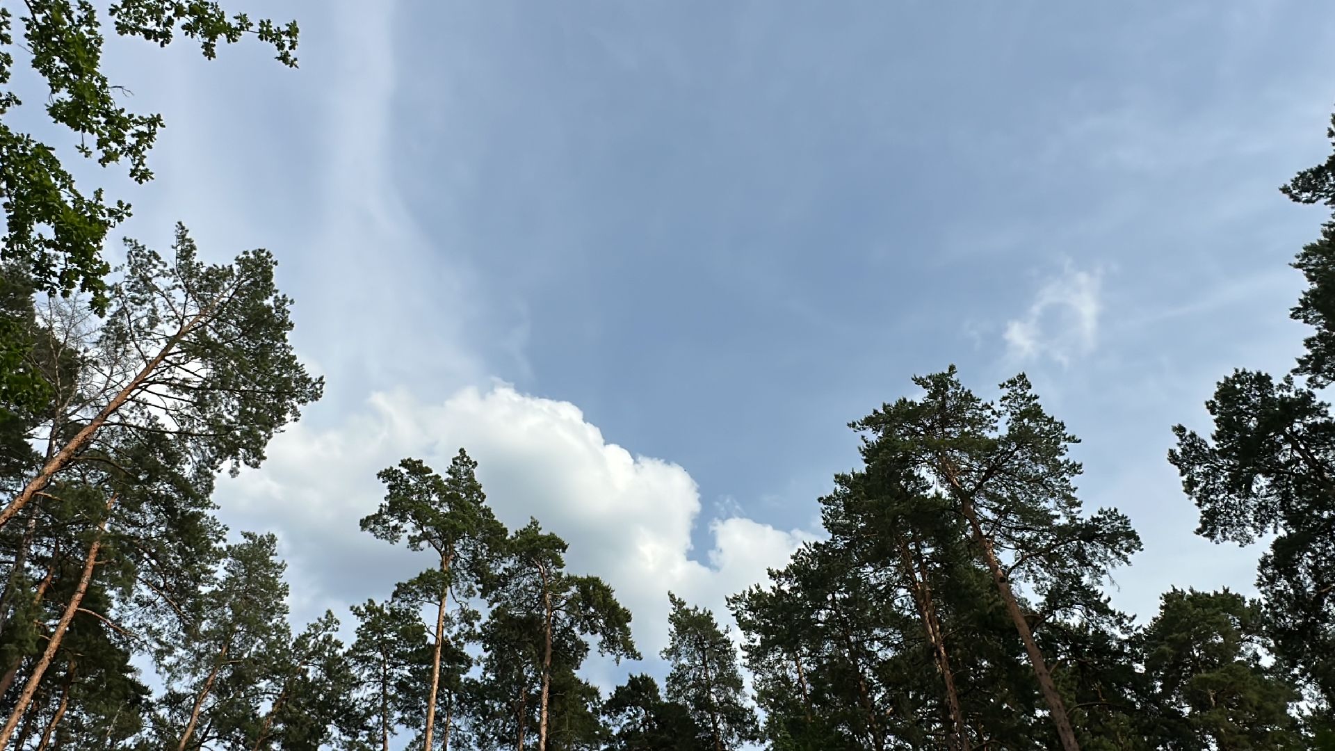 Культура, Парки Подмосковья, Раздолье