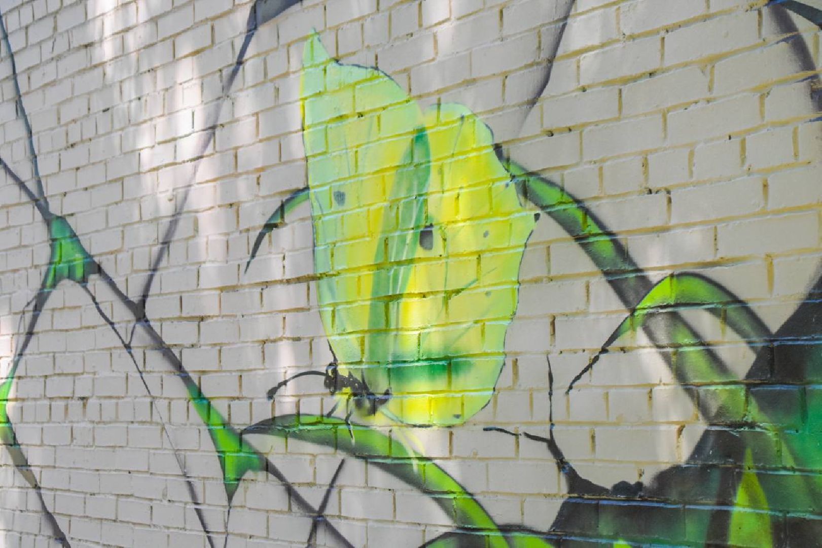 Подольск, граффити