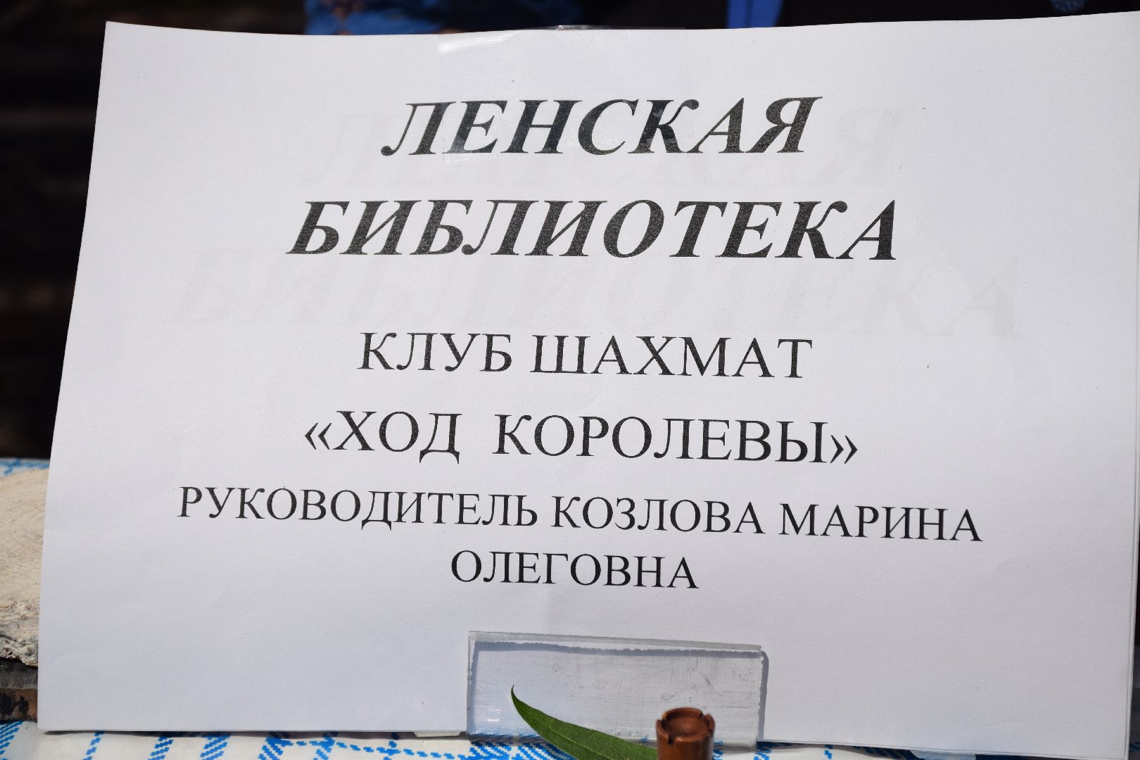 Павловский Посад, городской округ Павловский Посад, шашки, шахматы, дети, фестиваль, спорт