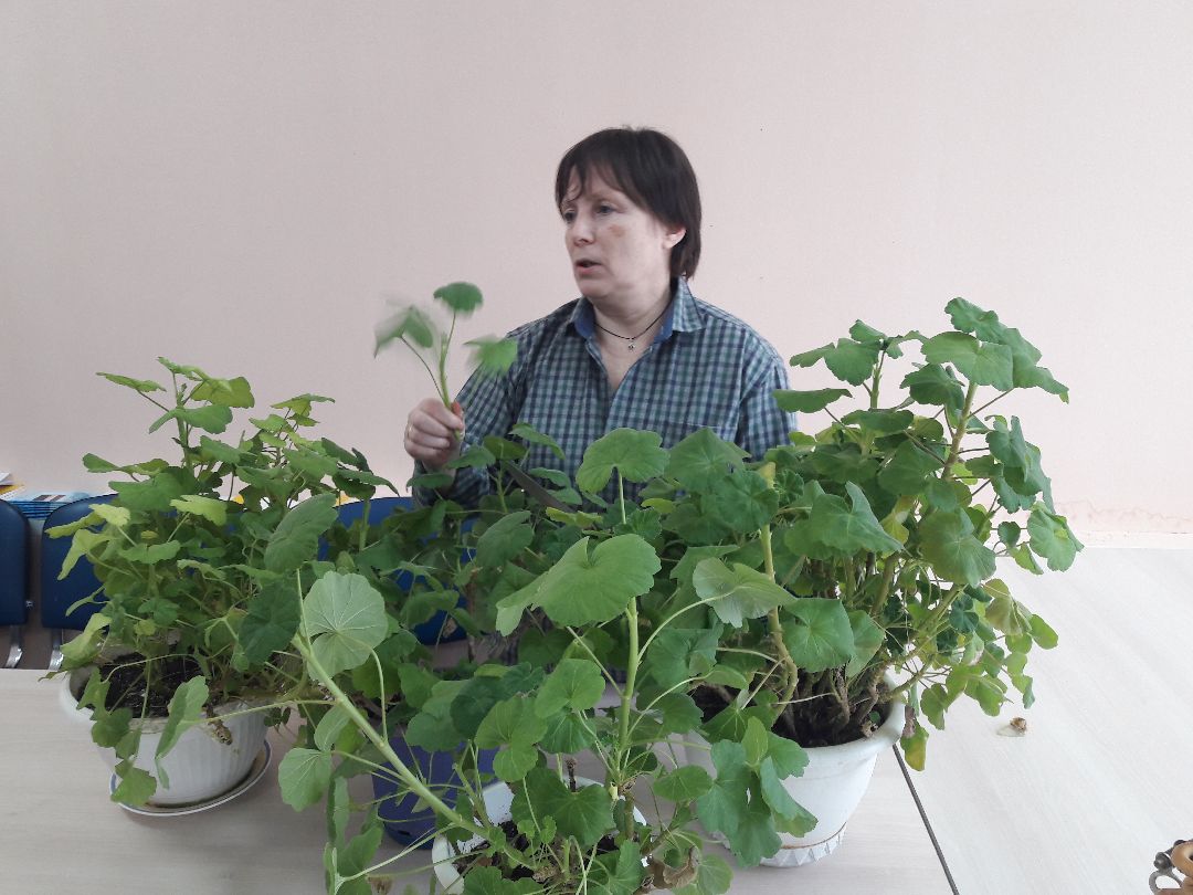 Руза, Сумароково, клуб садоводов, Рузское районное общество инвалидов, томаты