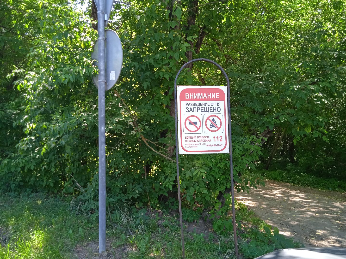 лес, пожарная, опасность, посещение