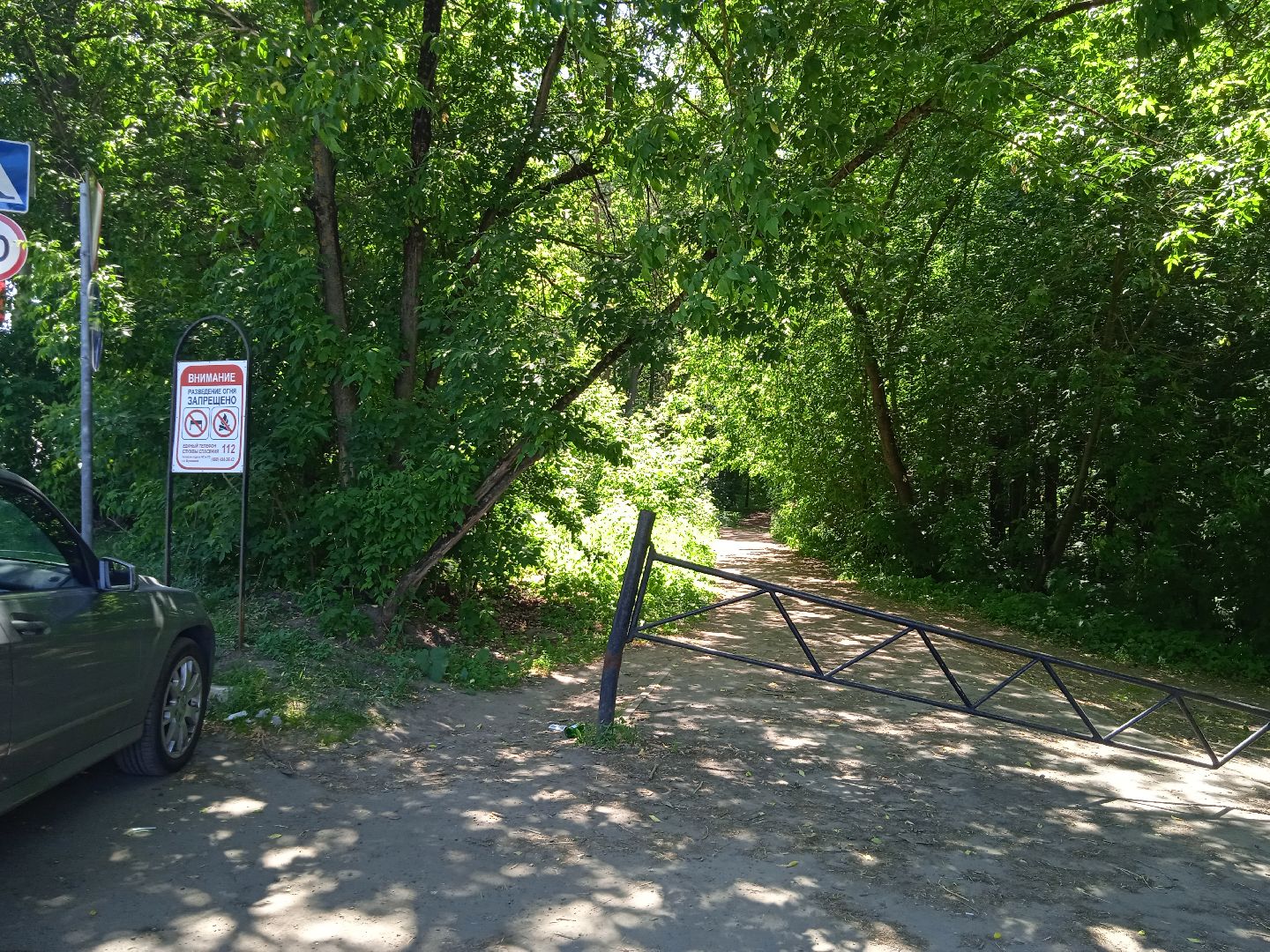 лес, пожарная, опасность, посещение