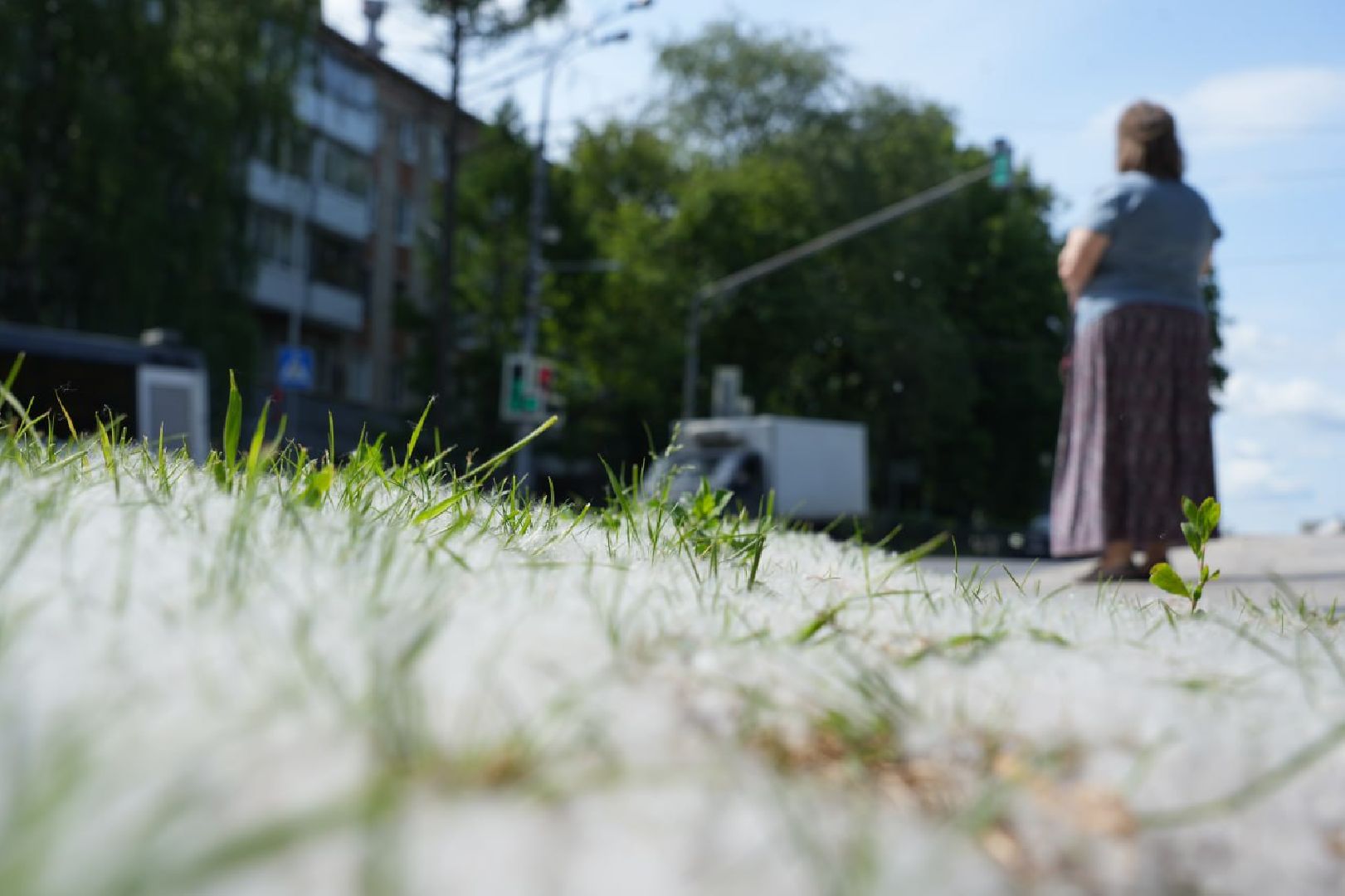 Сергиев Посад, Сергиево-Посадский городской округ, Здоровье, Здравоохранение, Медицина, Пух, Аллергия