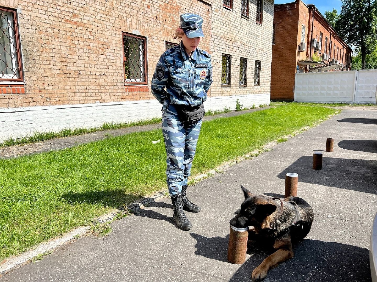 Шатура, Полиция, День Кинолога, Кинологи, Ульяна Керделевич