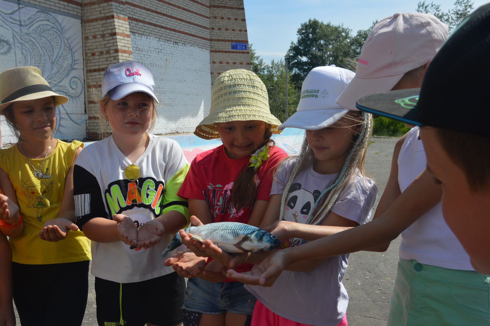 Шатура, Адская Кухня, лагерь отдыха, Петровское, Лето в Талантии