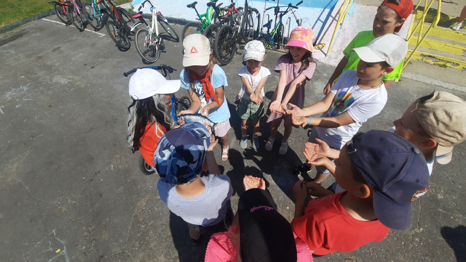 Шатура, Адская Кухня, лагерь отдыха, Петровское, Лето в Талантии