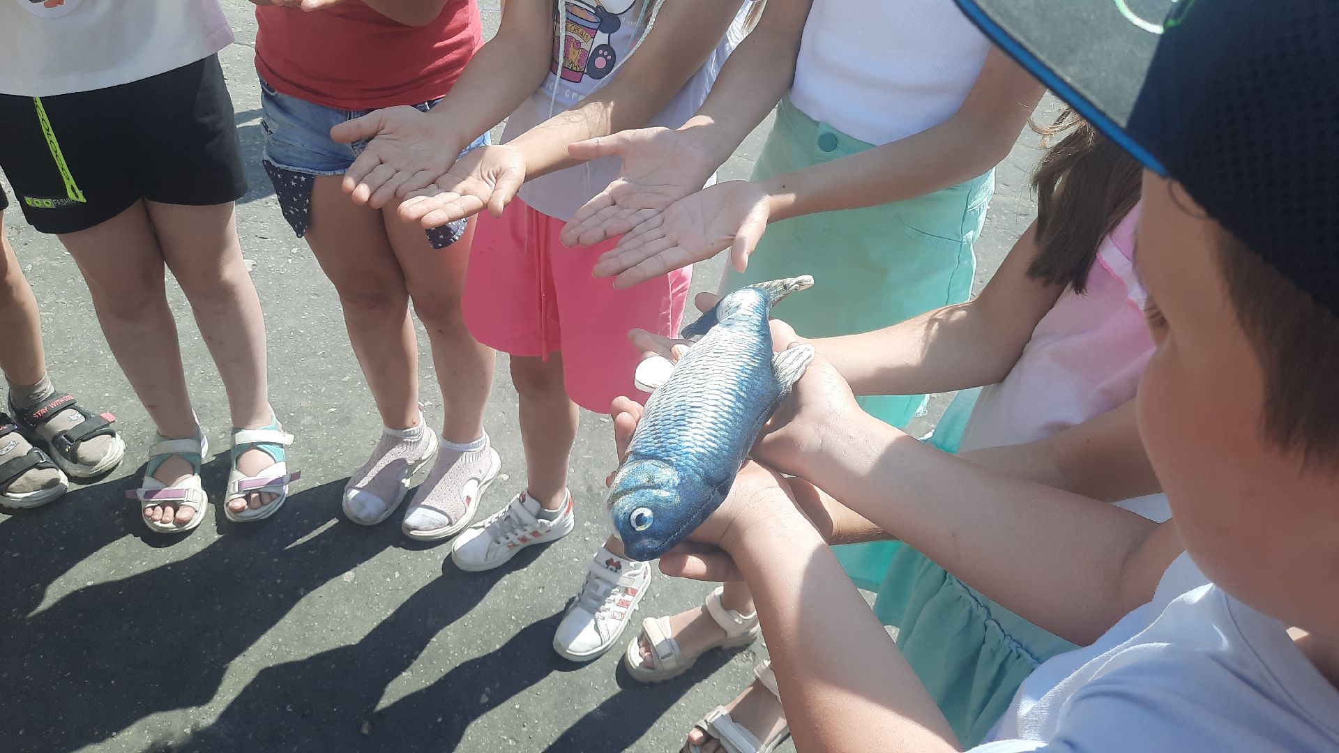 Шатура, Адская Кухня, лагерь отдыха, Петровское, Лето в Талантии