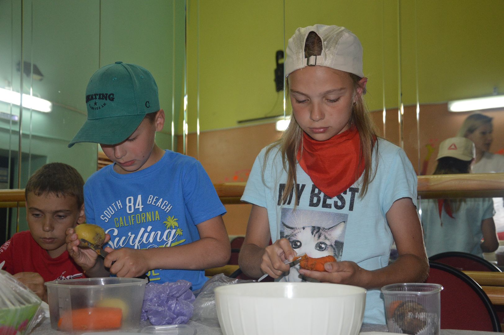 Шатура, Адская Кухня, лагерь отдыха, Петровское, Лето в Талантии