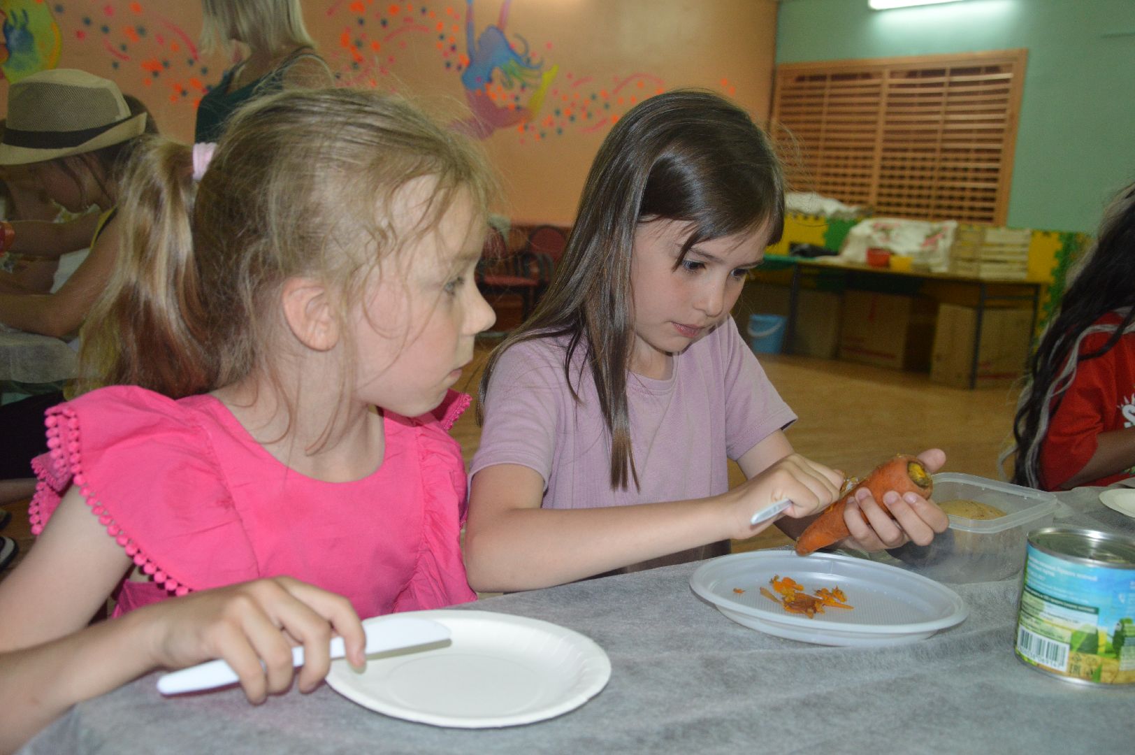 Шатура, Адская Кухня, лагерь отдыха, Петровское, Лето в Талантии