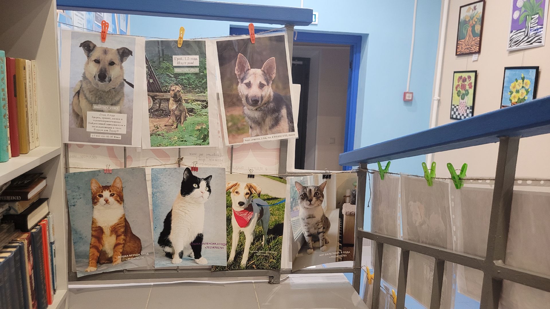 экология; видное; добро; фестиваль; библиотека