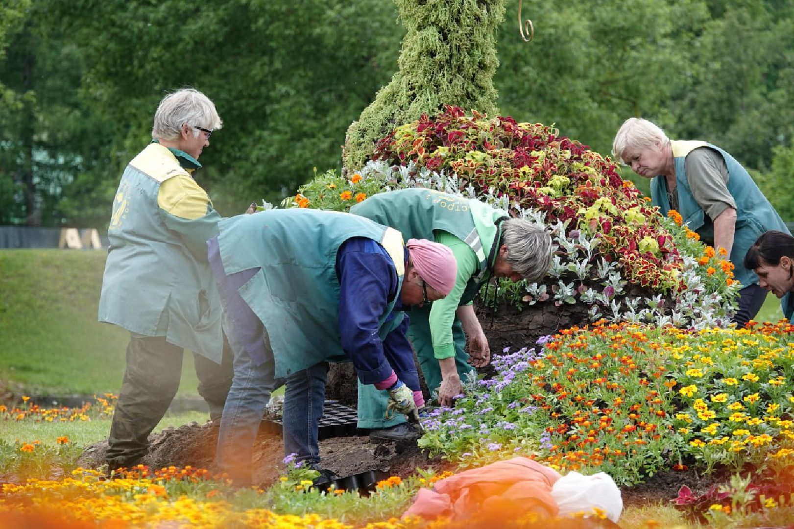 Сергиев Посад, Сергиево-Посадский городской округ, Красота, Города, Цветники, Благоустройство, Лето, Лето в Подмосковье