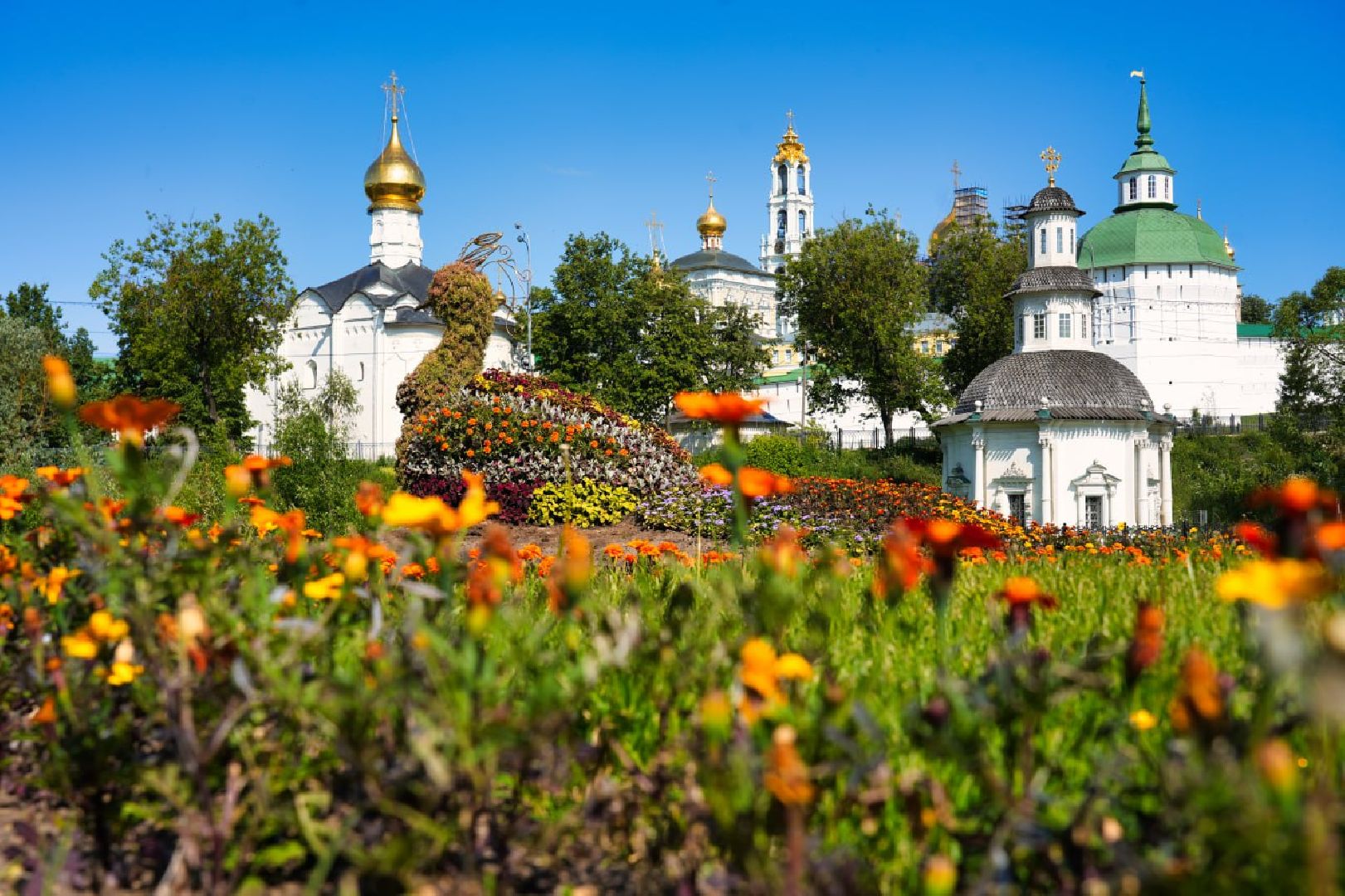 Сергиев Посад, Сергиево-Посадский городской округ, Красота, Города, Цветники, Благоустройство, Лето, Лето в Подмосковье