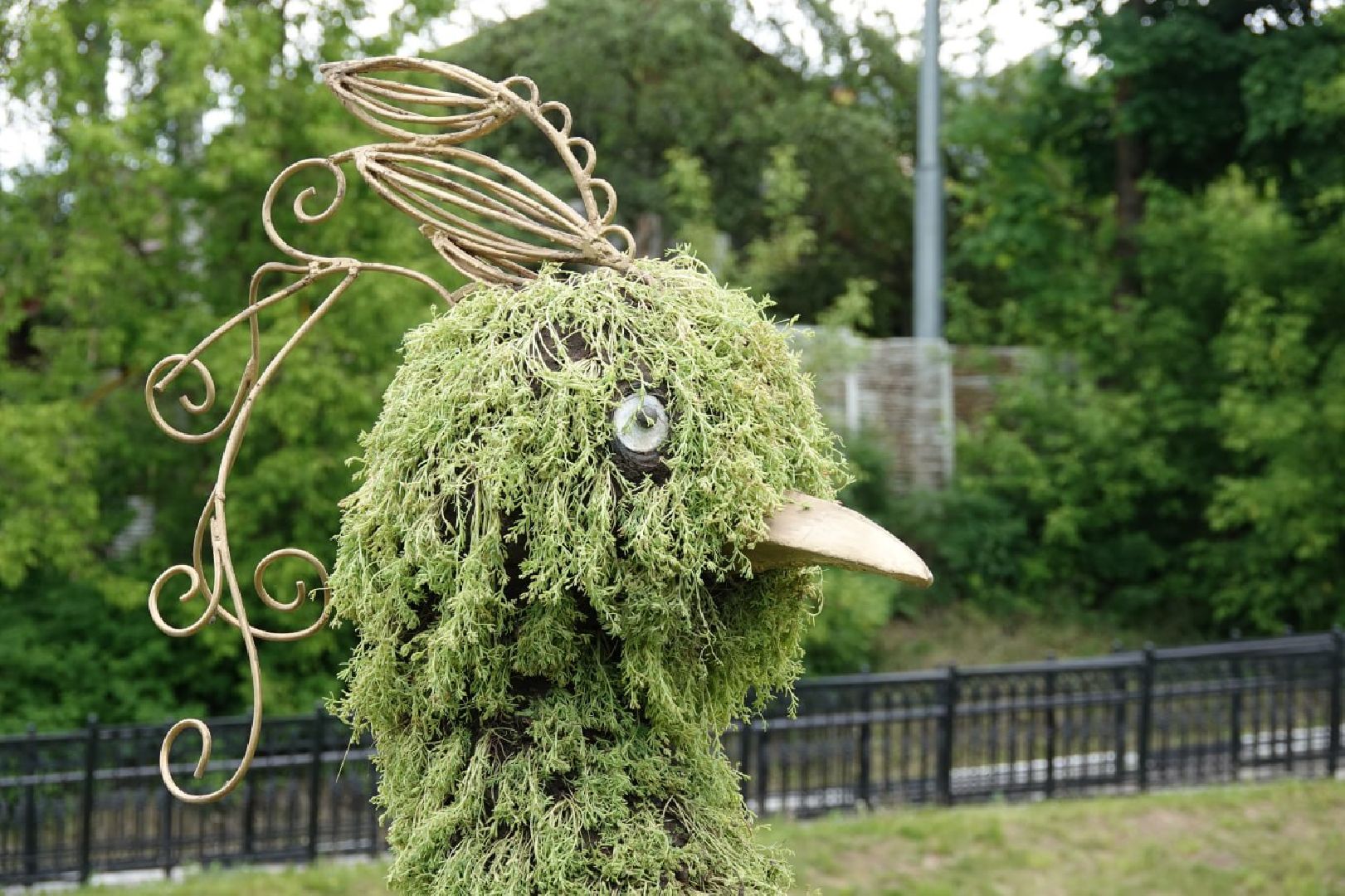 Сергиев Посад, Сергиево-Посадский городской округ, Красота, Города, Цветники, Благоустройство, Лето, Лето в Подмосковье