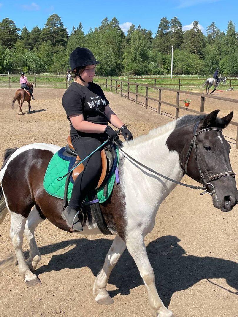 Туризм, отдых, ферма, лошади, Орехово-Зуево