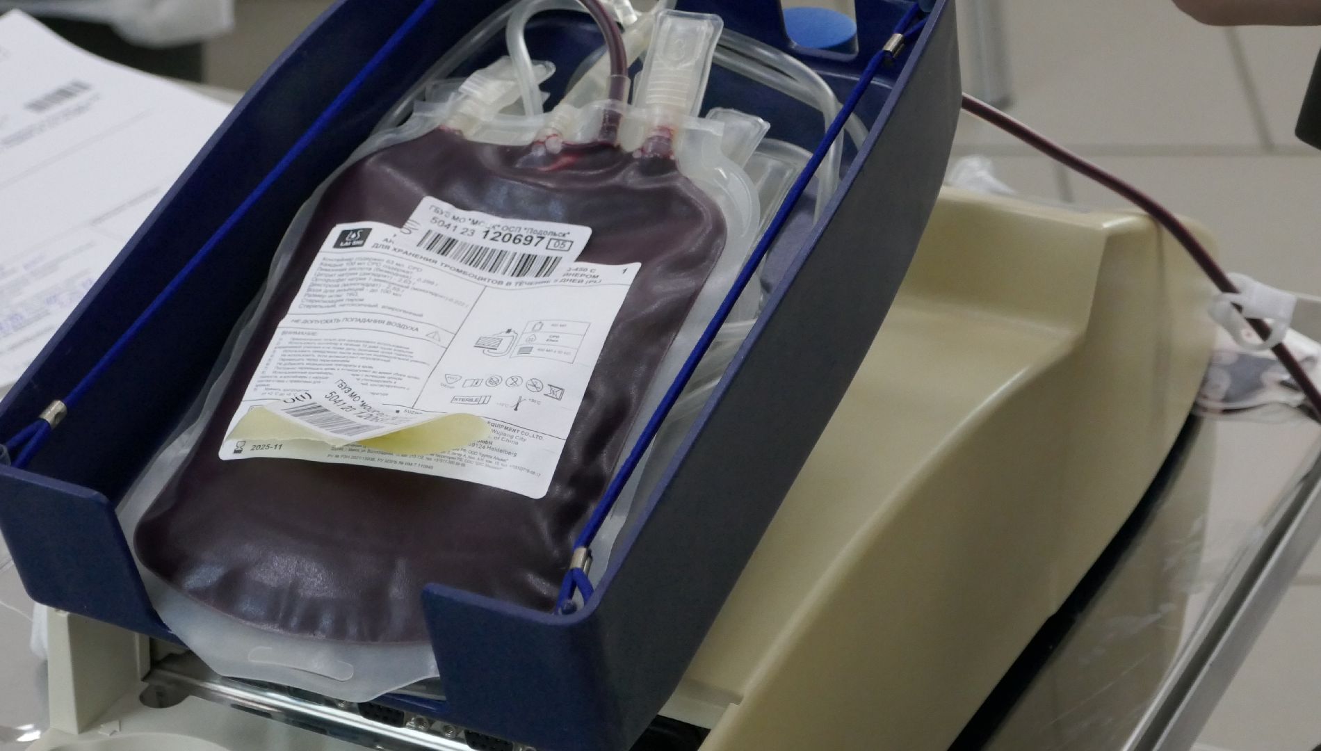 Подольск, медицина, донор, врач