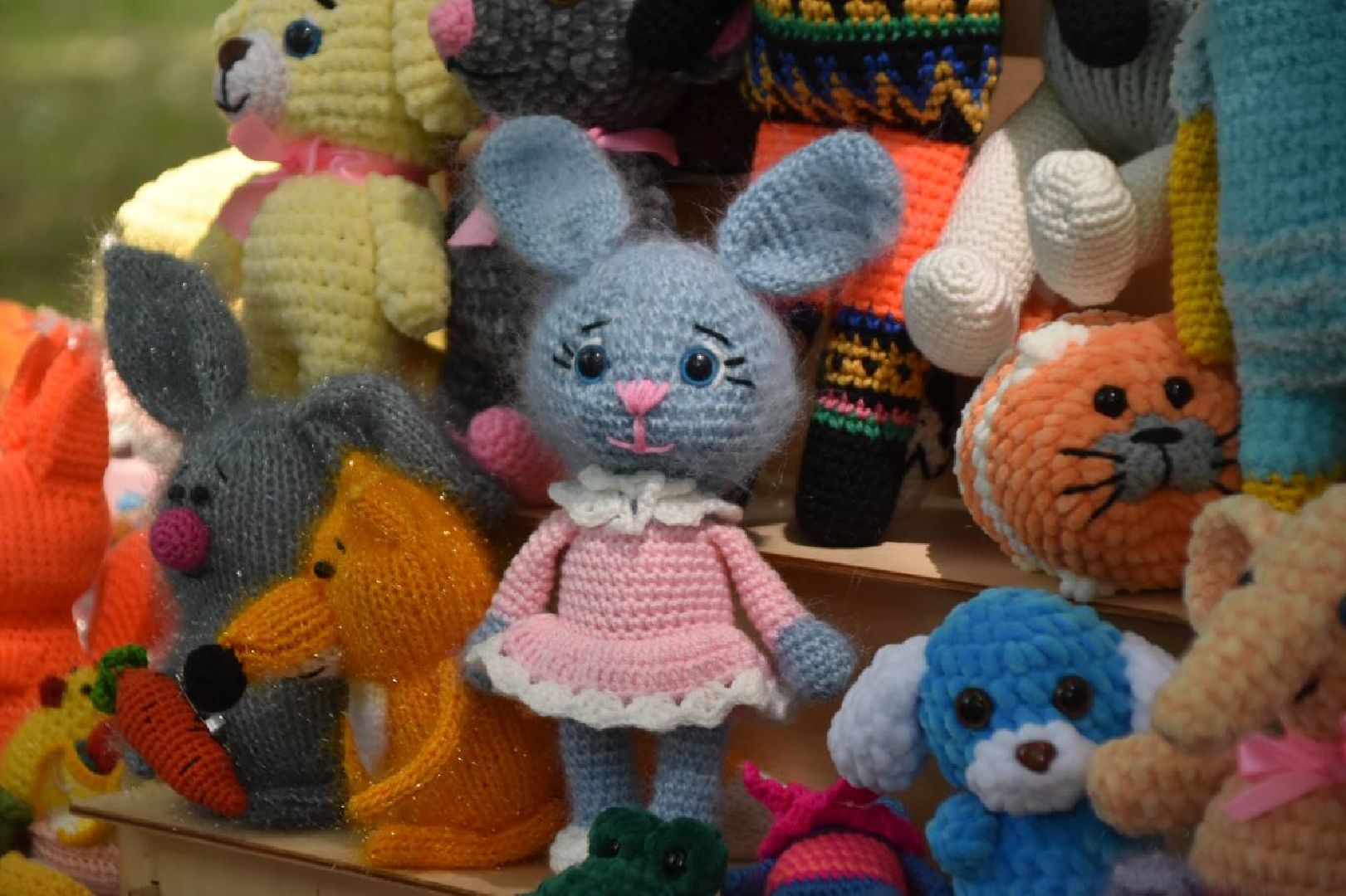 Подольск, помощь животным, зоозащитница, пристройство, выставка