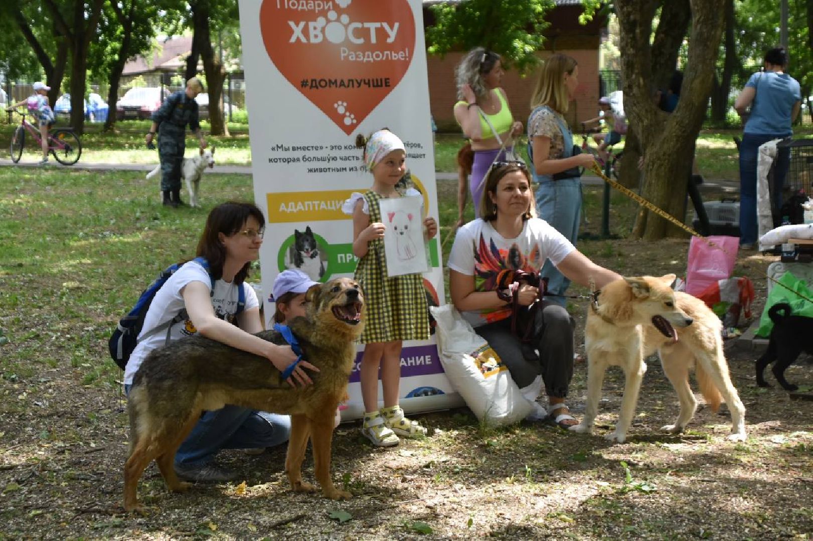 Подольск, помощь животным, зоозащитница, пристройство, выставка