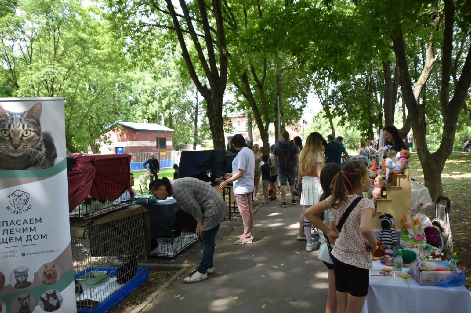 Подольск, помощь животным, зоозащитница, пристройство, выставка