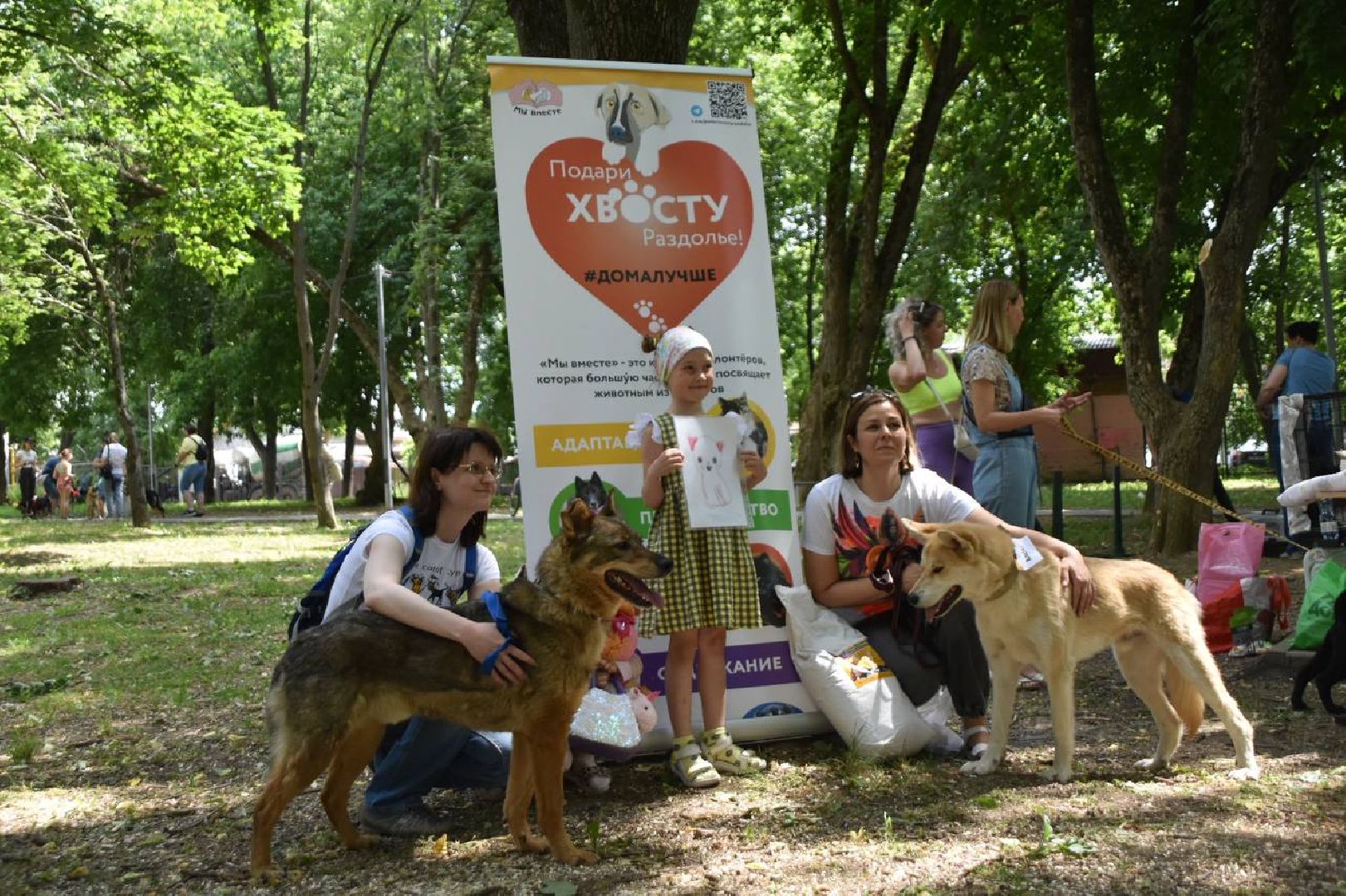 Подольск, помощь животным, зоозащитница, пристройство, выставка