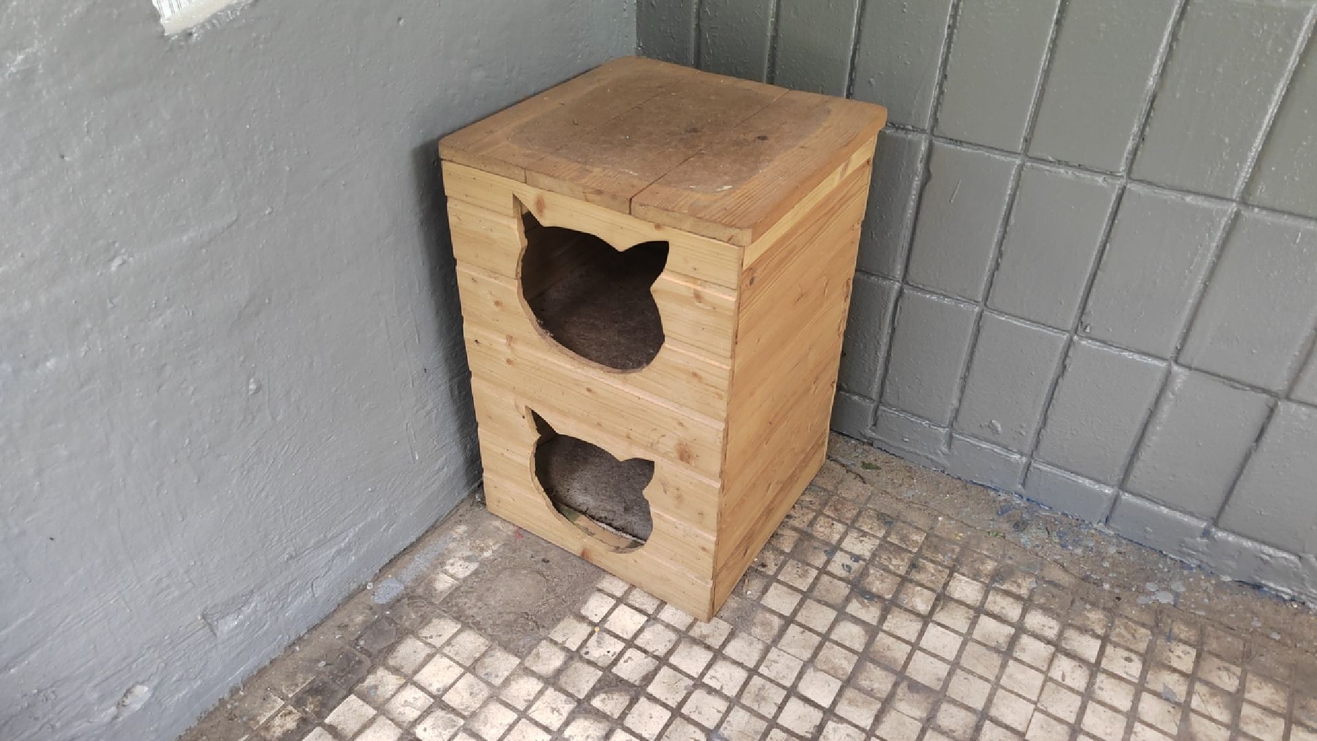 Пушкино, ЖКХ, благоустройство, МКД